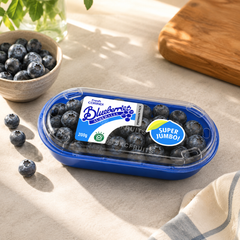 Corindi Jumbo Blueberries packshot for SKC Fruits Singapore
