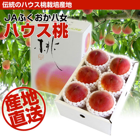 Fukuoka Yame House Greenhouse Peach