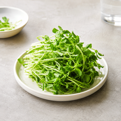 Dou miao pea shoots for garlic stir-fry noodles salads and hotpot