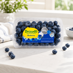 Driscoll's Yunnan Jumbo Blueberry packshot for SKC Fruits Singapore
