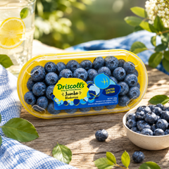 Driscoll's Yunnan Jumbo Blueberry Limited Edition packshot for SKC Fruits Singapore
