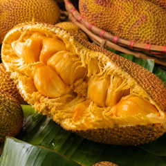 Durian Cempedak cut open with soft creamy flesh segments