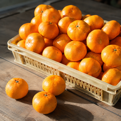 Cheap Small Orange Fruit that is easy to peel for kids lunchboxes and office snacks 