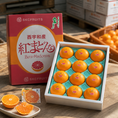 Nishi-Uwa Beni Madonna Japanese citrus with jelly-like flesh