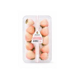 Eloasis Pink Snow Strawberry in Singapore
