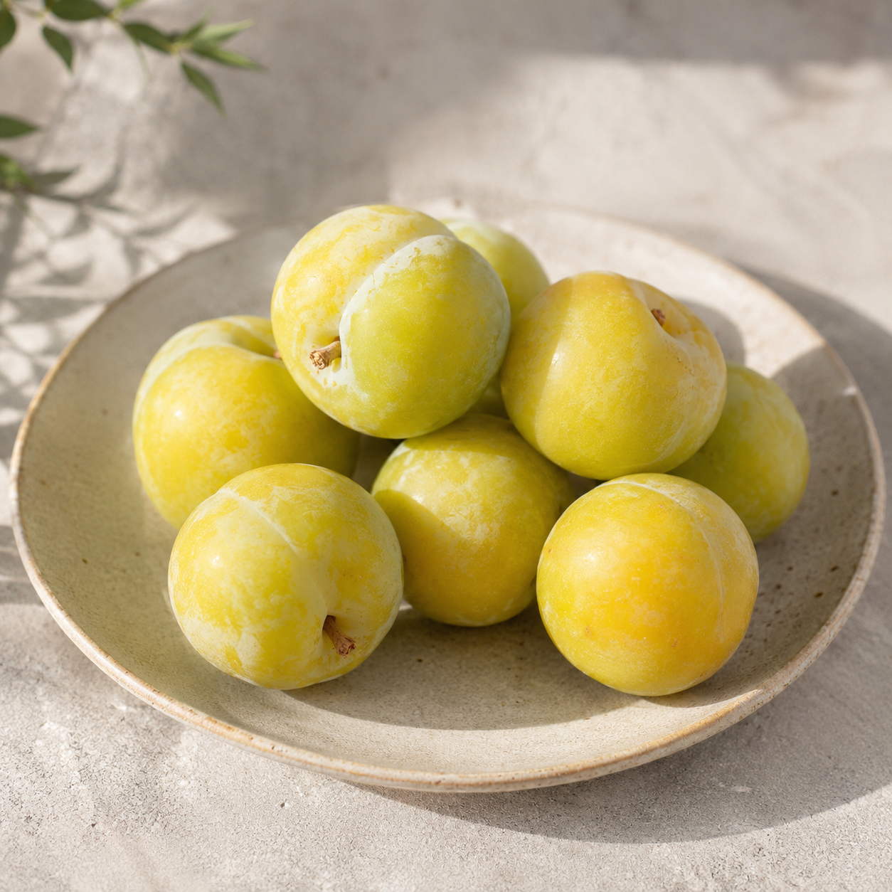 Emerald Sweet green plum with juicy golden flesh