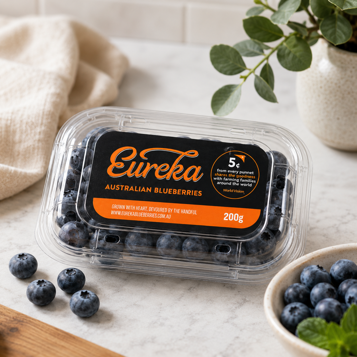 Eureka Jumbo Blueberries packshot for SKC Fruits Singapore
