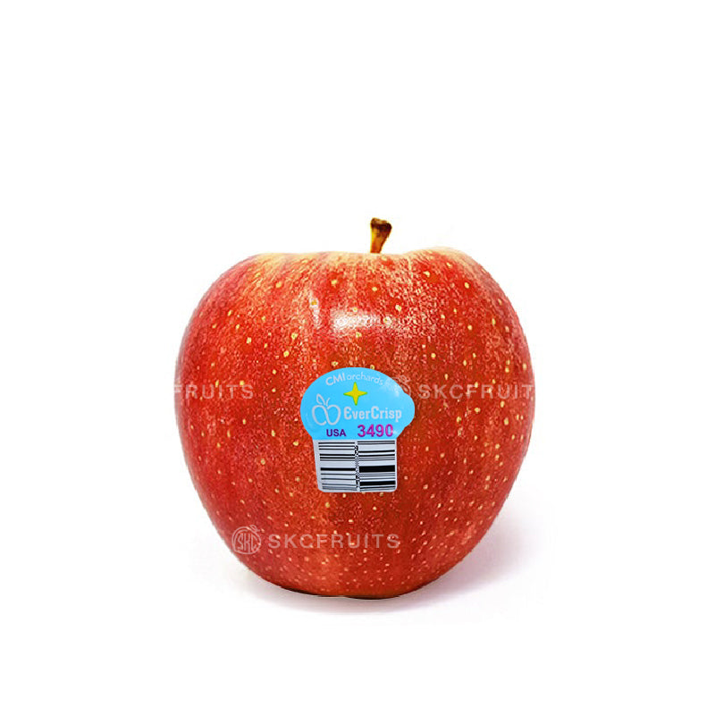 EverCrisp apple in Singapore sweet crisp USA apple
