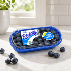 Fresh Corindi Australian Blueberries 200g premium pack
