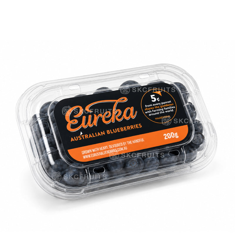 Fresh Eureka Jumbo Blueberries with juicy sweet berries
