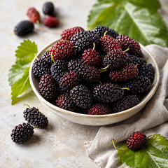 Fresh mulberries served in a bowl for snacking in Singapore
