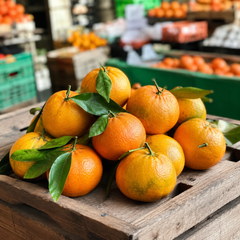 Fresh tangerines with orange segments and fragrant citrus