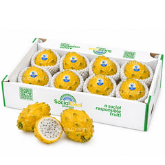 Ecuador Yellow Dragon Fruit carton 6 to 8 pieces sold in Singapore by SKC Fruits
