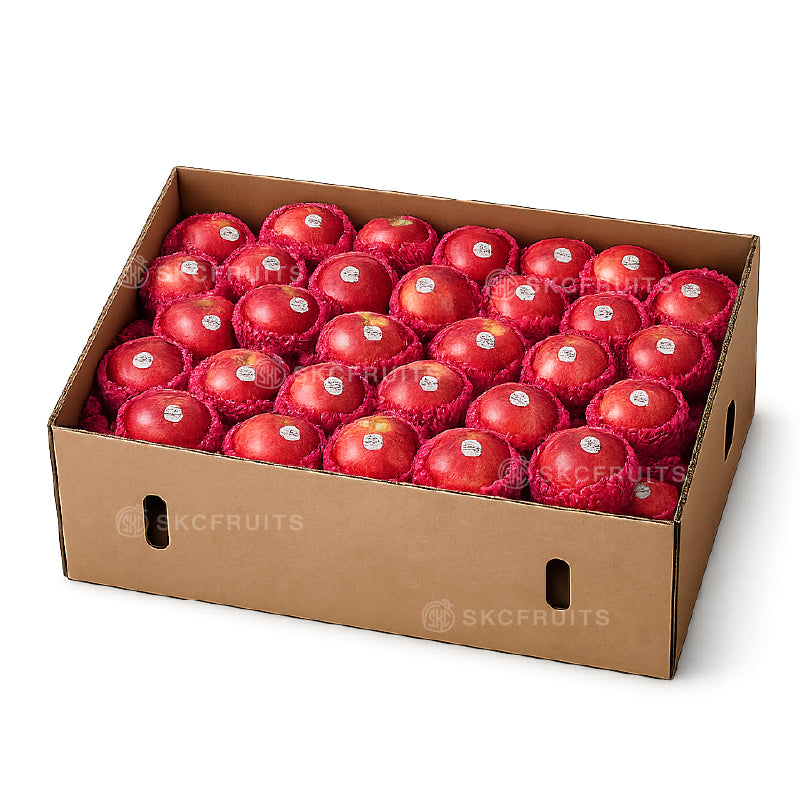 Small Fuji Apples 1 carton 125 to 140 pcs from South Africa sold in Singapore by SKC Fruits
