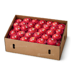Small Fuji Apples 1 carton 125 to 140 pcs from South Africa sold in Singapore by SKC Fruits