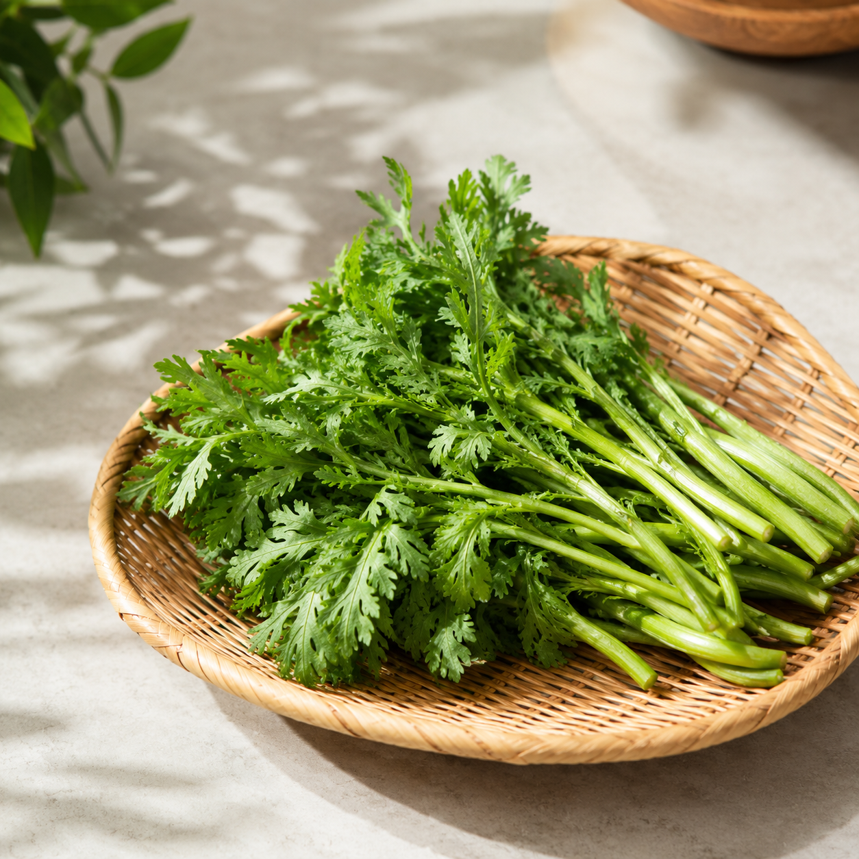 Garland chrysanthemum vegetable with tender aromatic leaves for soups