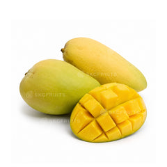 golden mango also known as Kim Leng mango and Kim Ling Gold Mango