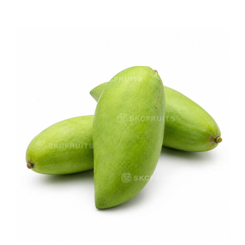 green mango for green mango salad with firm crunchy flesh