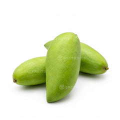 green mango for green mango salad with firm crunchy flesh
