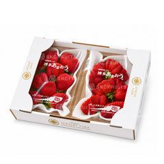 Hakata Amaou strawberry from Fukuoka with large bright red fruit
