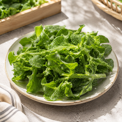 Ice plant Singapore speciality vegetable for salads appetisers and hotpot