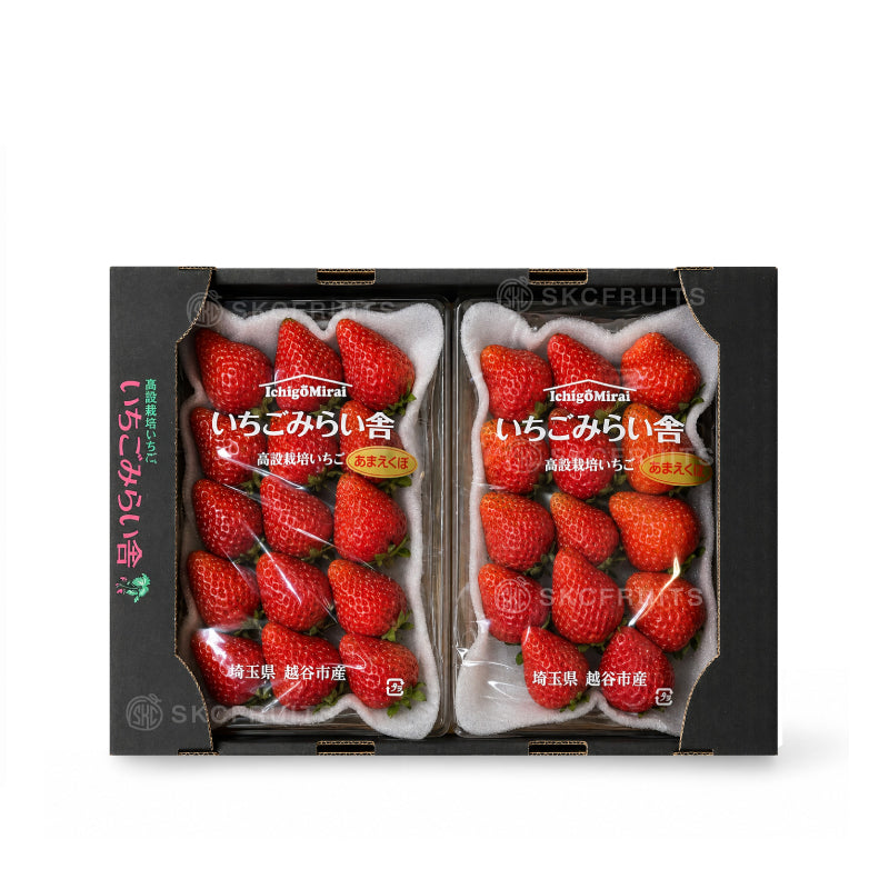 IchigoMirai Amaekubo Strawberries in Singapore
