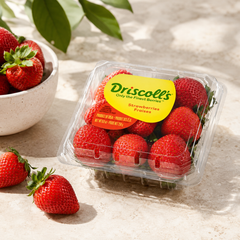 Imported strawberries for cakes fruit platters and yoghurt