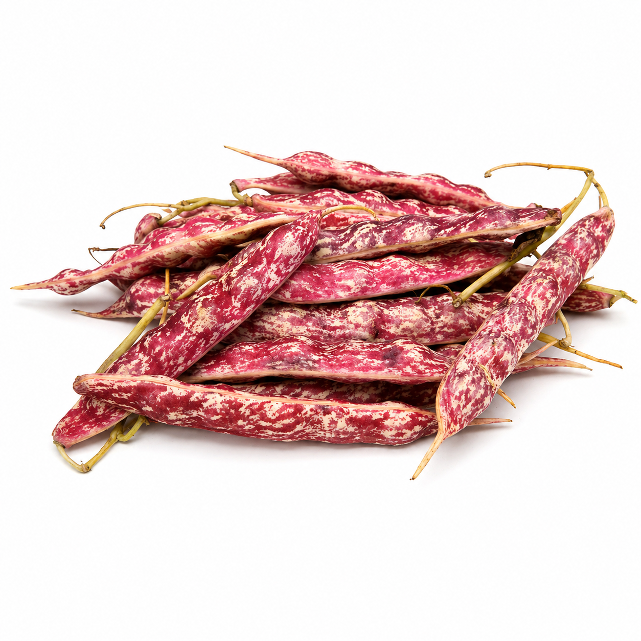 Indonesia Pearl Bean 珍珠豆 with red speckled pods
