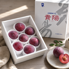 JA Yamanashi Kiyou Plums labelled 山梨産 高級プラム 貴陽