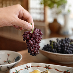 Japanese champagne grapes served chilled on a dessert plate
