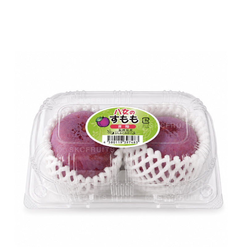 Japan Kiyou Plum from Fukuoka Yame