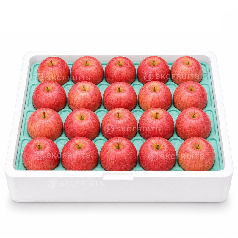 Japanese Sun Fuji apples in carton for sharing and fresh eating
