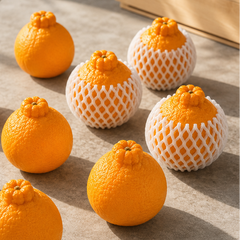 Japanese big orange Dekopon with easy peel top knot shape
