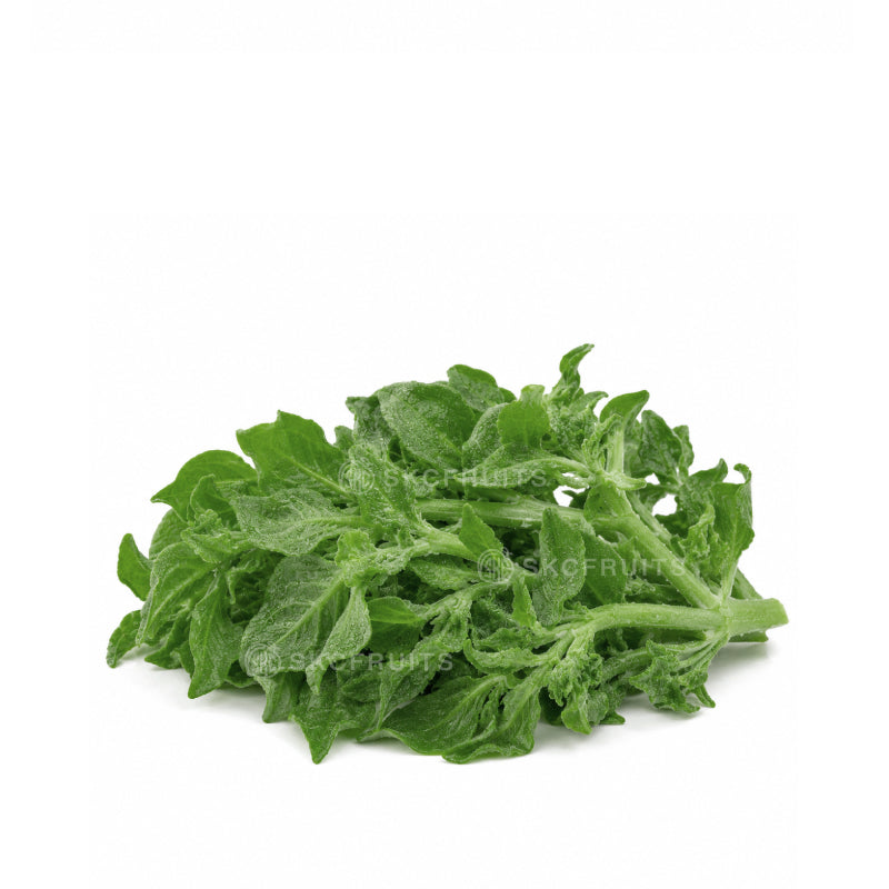 Japanese Crystalline Ice Plant Vegetable with crisp juicy leaves and frosted surface