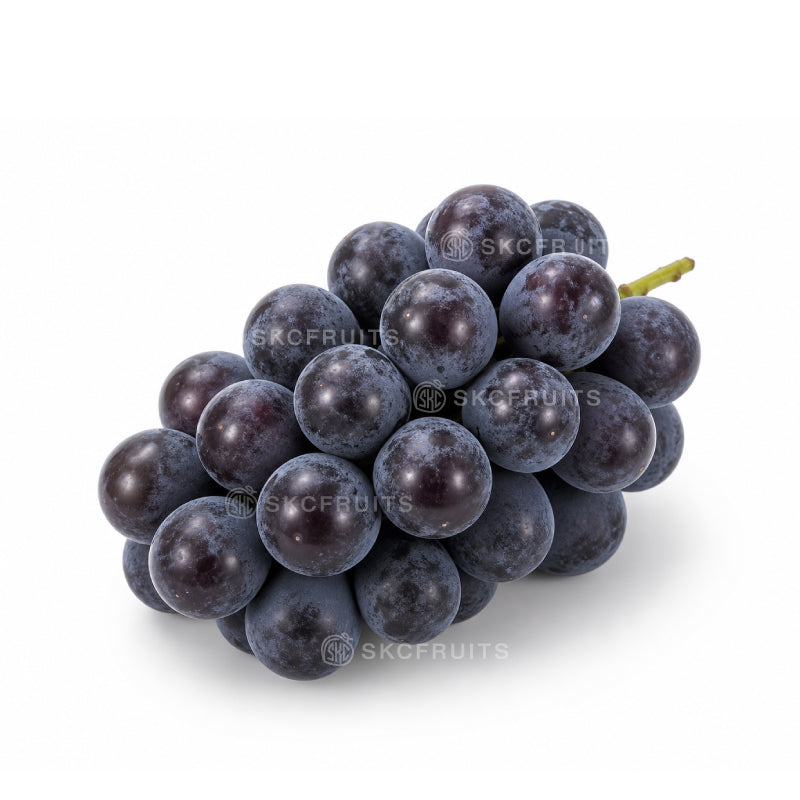 Close-up of Japanese Kyoho Grapes showing juicy premium grapes with deep colour
