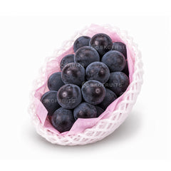 Japanese Kyoho Grapes in a fresh bunch with large dark purple berries
