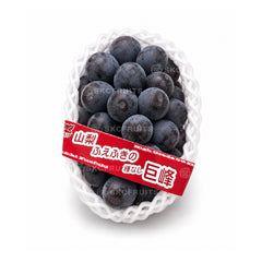 Red branded gift box for Japanese Kyoho Grapes with 1 bunch presentation
