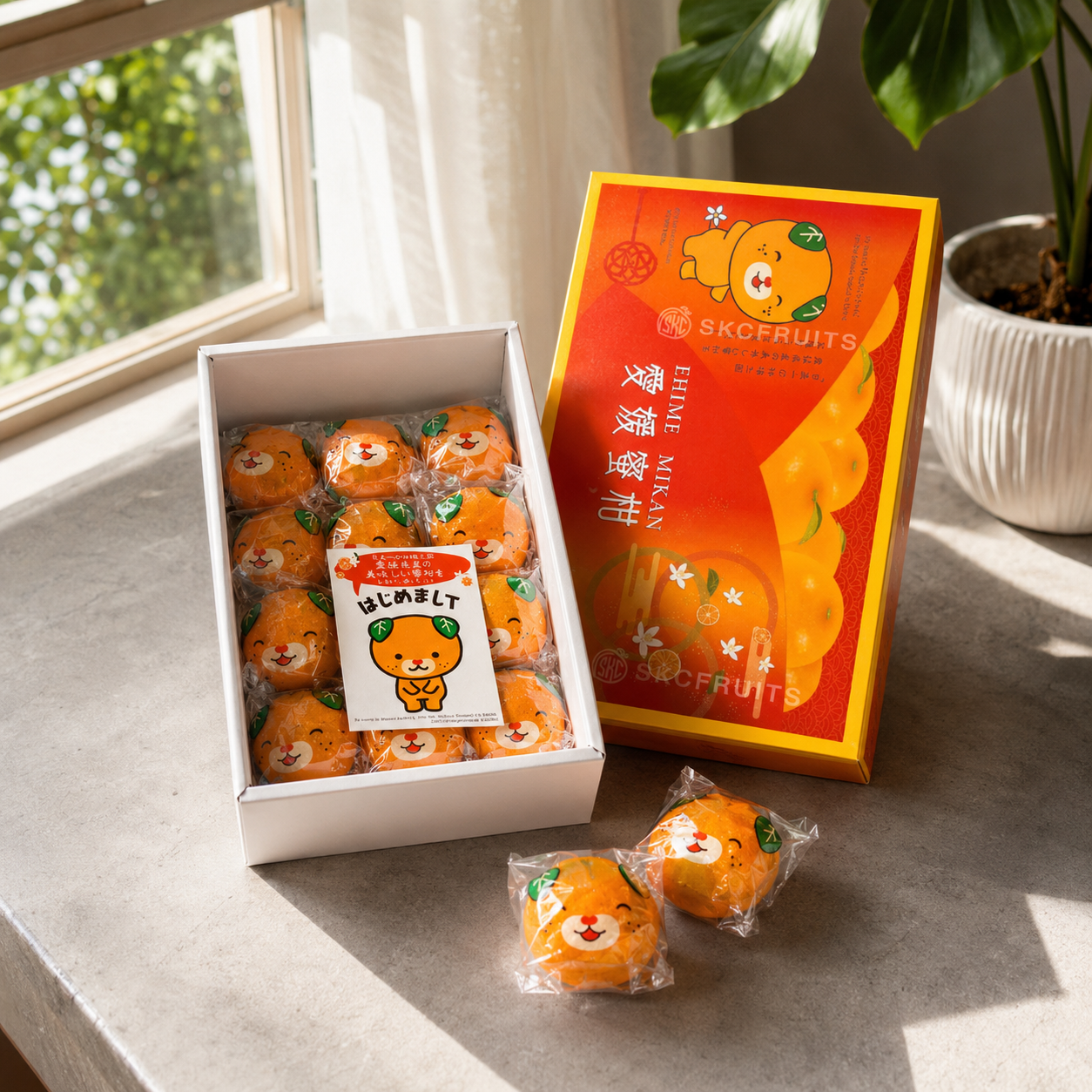 Japanese mikan orange Singapore gift box from Ehime Japan