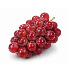 Close-up of Japanese Queen Nina Grapes showing premium red grapes with natural bloom
