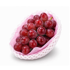Japanese Queen Nina Grapes with large red premium berries
