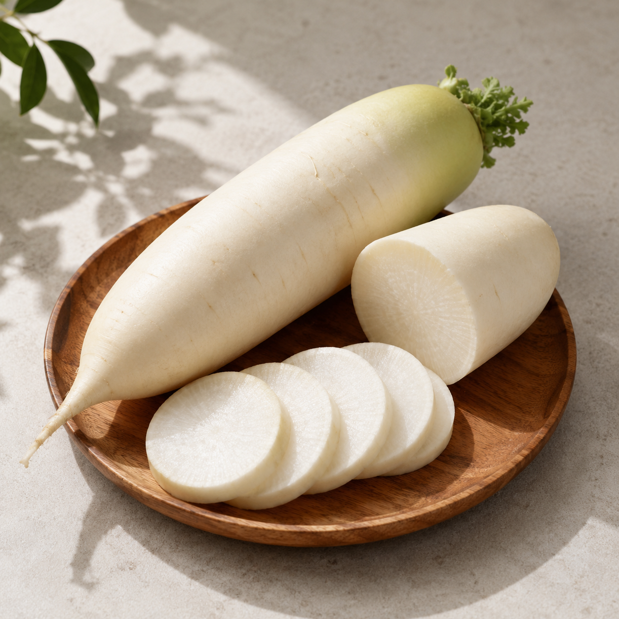 Japanese radish 大根 for steamboat hotpot pickles and braised dishes