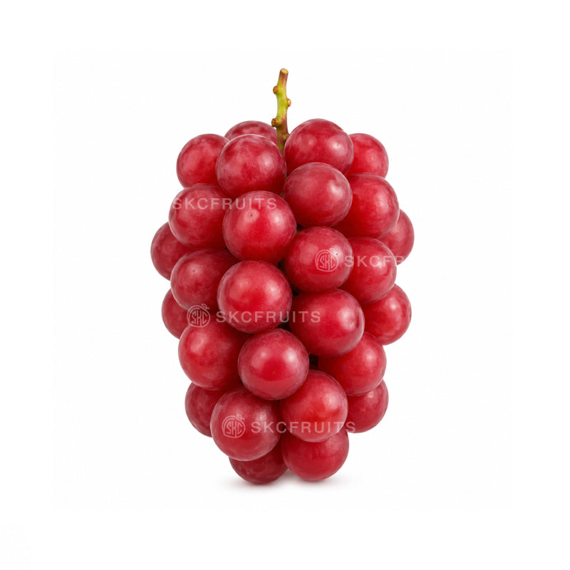 Japanese Ruby Roman Grapes with large ruby red berries