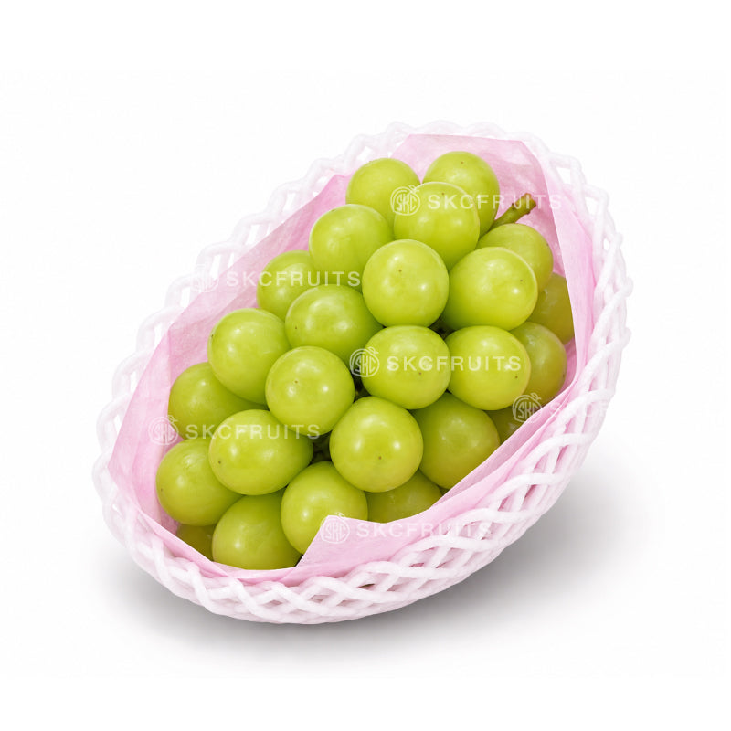 Japanese Shine Muscat Seedless Grapes in a fresh bunch with premium green berries
