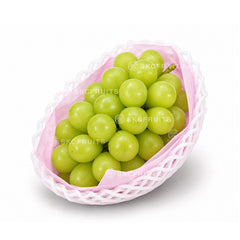 Japanese Shine Muscat Seedless Grapes in a fresh bunch with premium green berries
