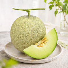 Japanese-style muskmelon grown in Brunei greenhouse
