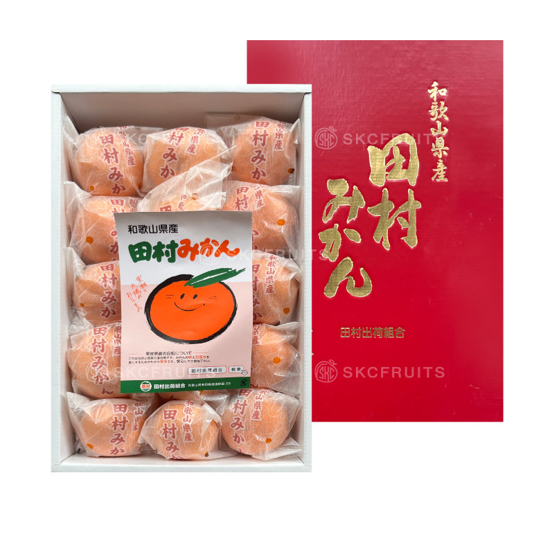 Japanese Tamura Mikan 田村みかん in premium Wakayama gift box packaging
