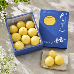 Japanese tomato gift box featuring rare Tsukiroman golden tomatoes