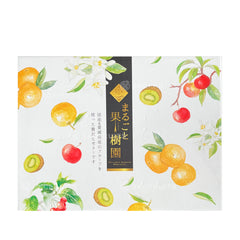 Japanese Marugoto Kajyuen Mixed Fruit Jelly