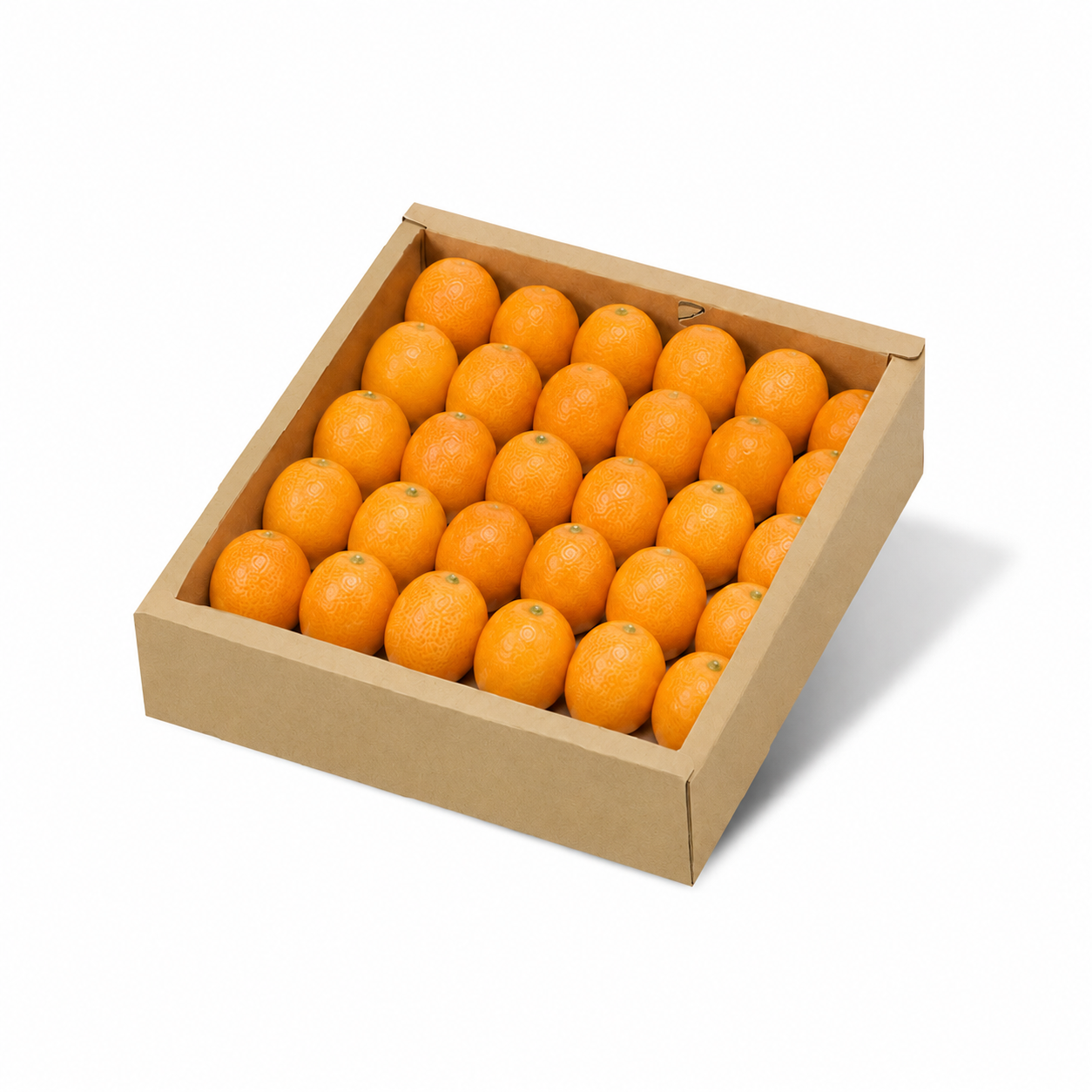Kagoshima Kinkan gift box with neatly packed kumquat fruit