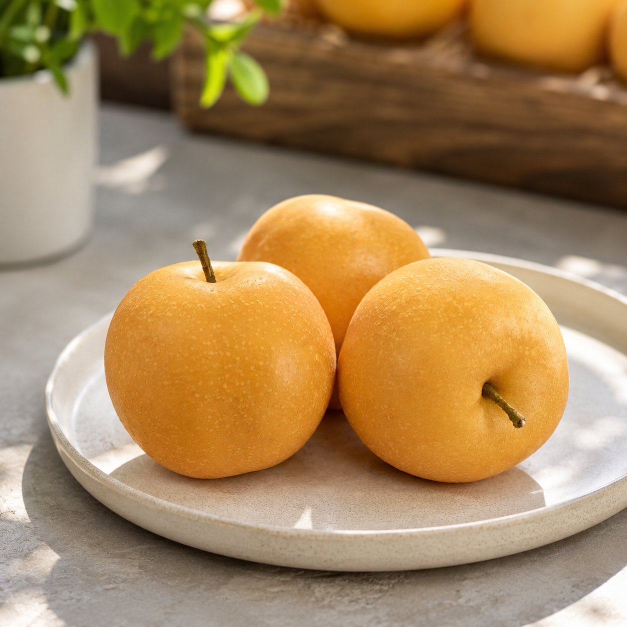 Korean pear Singapore fruit delivery from SKC Fruits